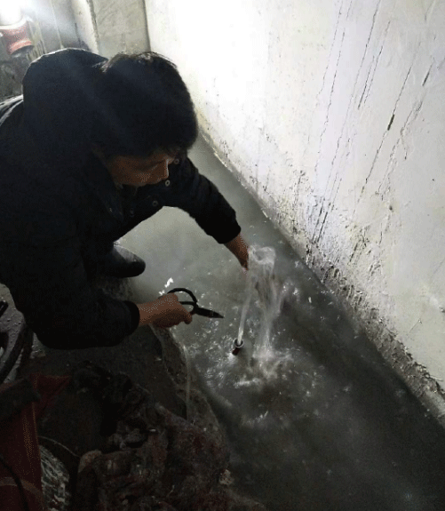 安庆枞阳县防水堵漏